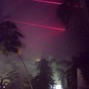 sage2sick - Palm Trees