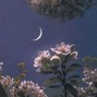 Legii - moon