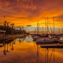 Timo - The Marina