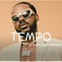 doimobeatz  - TEMPO(prod.doimobeatz)
