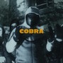 Kaian Prod. - [FREE] UK Drill x NY Drill Type Beat - "COBRA"