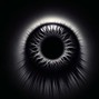 Eight.0.8.0.new - Bag it