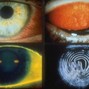 Erald Radashku - If You're Reading This It's Too Late