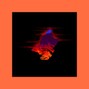 FULLAUTO - night light
