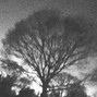 dunwich - AURORA