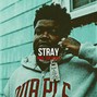 sunjicade - STRAY