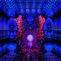 yungapples - Dmt Dream