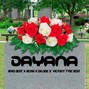 Alldf24  - Dayana 