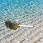 Motel Oyster - Chill Out
