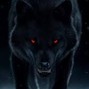 Esintrik  - Black Wolf