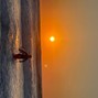 kiebacktimm - sunny days
