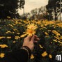 MuxOfficial - (FREE) Acoustic Type Beat " Lost " 
