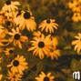 MuxOfficial - (FREE) Acoustic Type Beat " Rain "