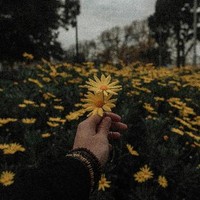 MuxOfficial