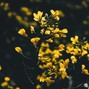 MuxOfficial - (FREE) Acoustic Guitar Type Beat Where Ever You Are Indie Folk 