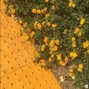 MuxOfficial - (FREE) Novo Amor Indie Folk Type Beat " Our Road Home " | Ambient Folk 