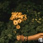 MuxOfficial - (FREE) Acoustic Type Beat " Love Song " 
