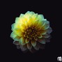 MuxOfficial - (FREE) Acoustic Type Beat Your Promises 