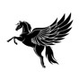 XXII - BLK PEGASYS