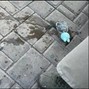 fakefckingiso - bloody 140 dmin facebookforpussy