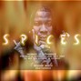 bigsamkick - SPICES -