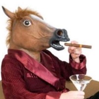 @narleyhorse