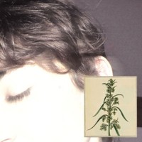 corpsedrive