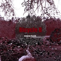 Bicycle B