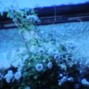 irby - theseletters - indie, pinegrove, acoustic type beat