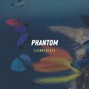 cherrybeats - Phantom