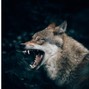 Bluzz LeBleu - Revenge [Yelawolf Type Beat]