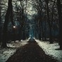 danvol01 - lost in the dark