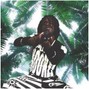 Crooksfordiamonds - Chop Shop