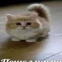 my names vova