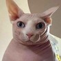 my names vova - sosal_666