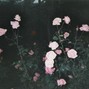 Kujō - overthink