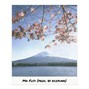 ECOPUNK - SAD BEAT / MA FUJI 
