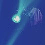 viiiral. - space+time (prod. viiiral.)