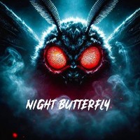 Night Butterfly