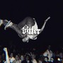 vee - bitter | alt rock