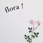enchi - flora !