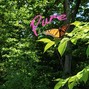 enchi - pure