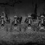 K@LE PL@NT - GRAVE RAVE