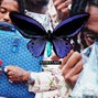 pradadidit - Glitter