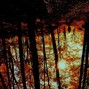 20knaked - grass that never grows