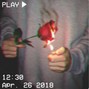 DeeKay - Rose