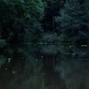 Slackin Beats - Swamp