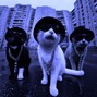 SHASTU - 🧨GUARDS | HARD OLD SCHOOL HIP HOP x BOOM BAP