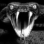 SHASTU - SNAKES | Bouncy Hip Hop Rap Beat 