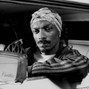 SHASTU - 🧨FRESH | OLD SCHOOL x WEST COAST x BOOM BAP